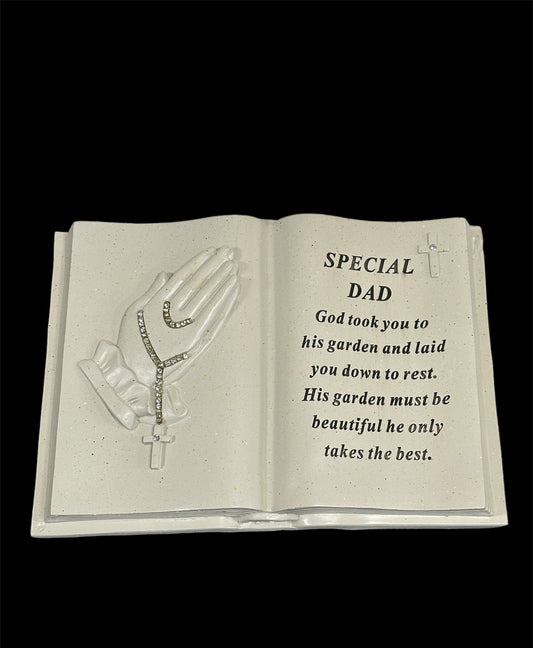 Memorial Plaque Special Dad Book